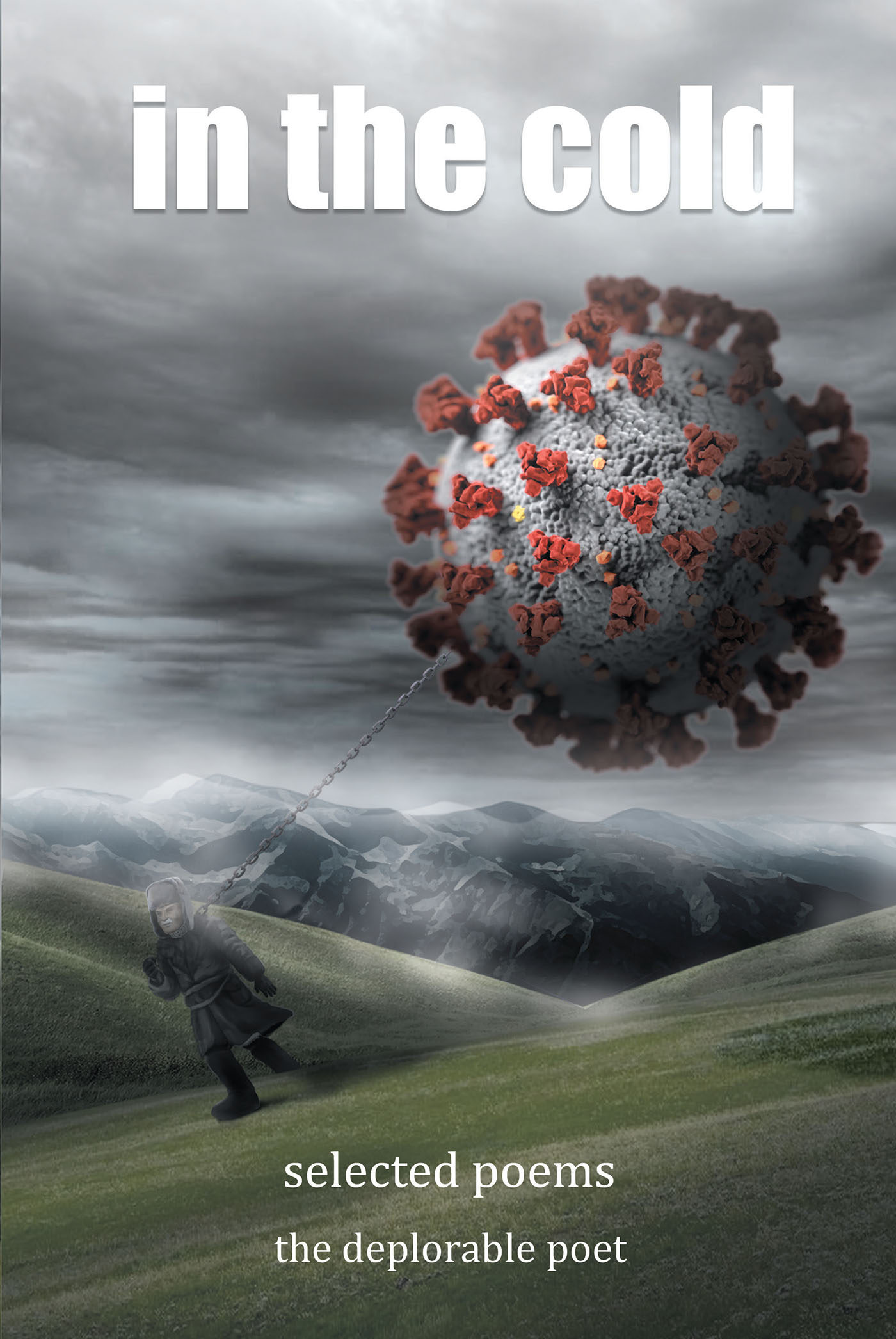 in the cold Cover Image