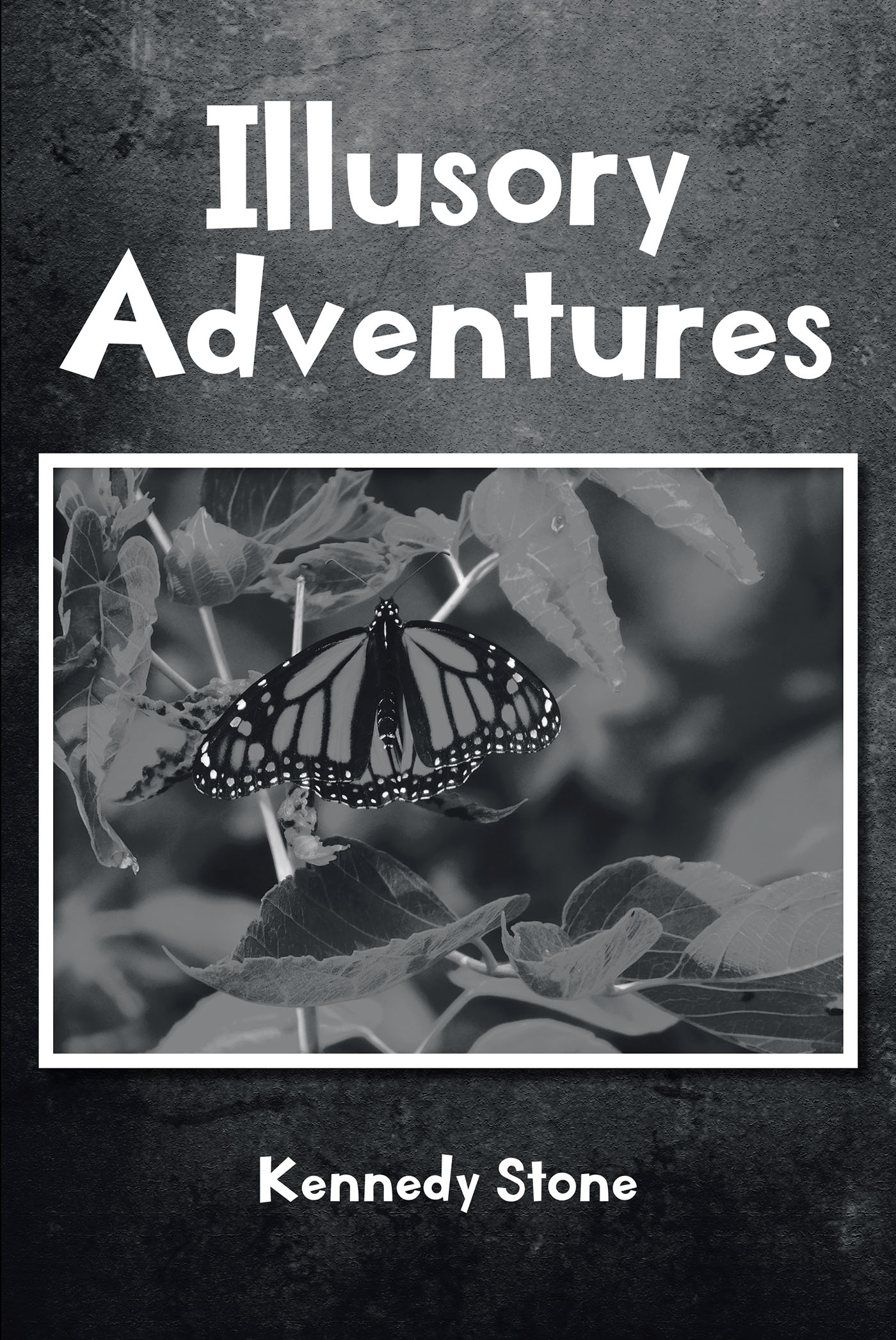 Illusory Adventures Cover Image