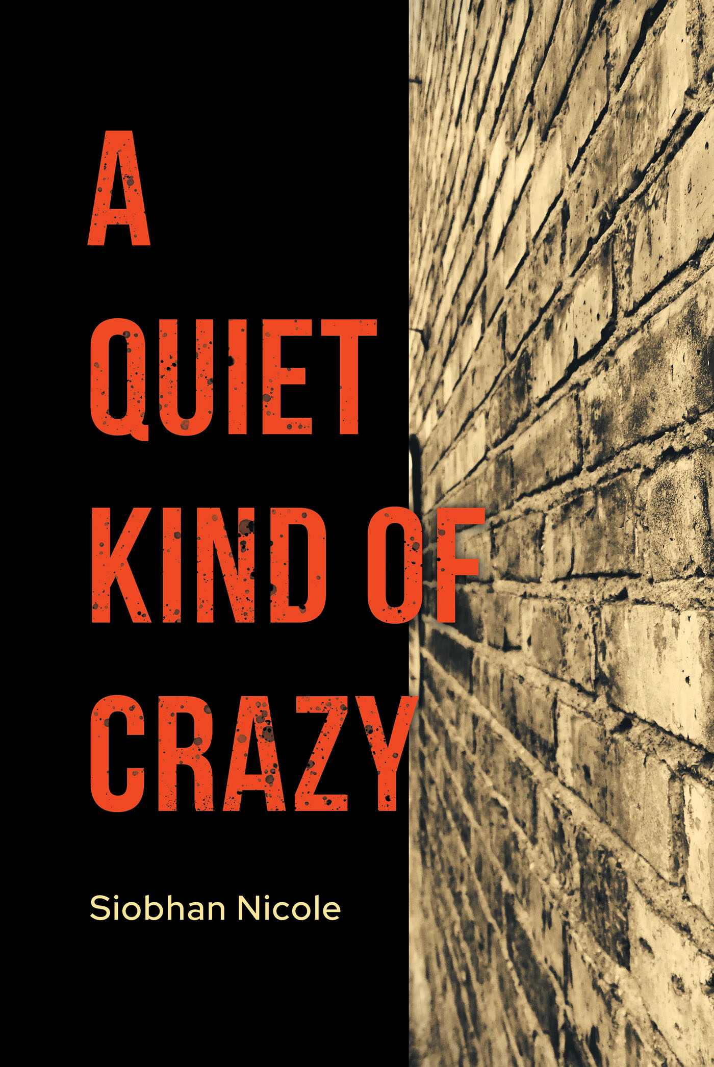 A Quiet Kind of Crazy Cover Image