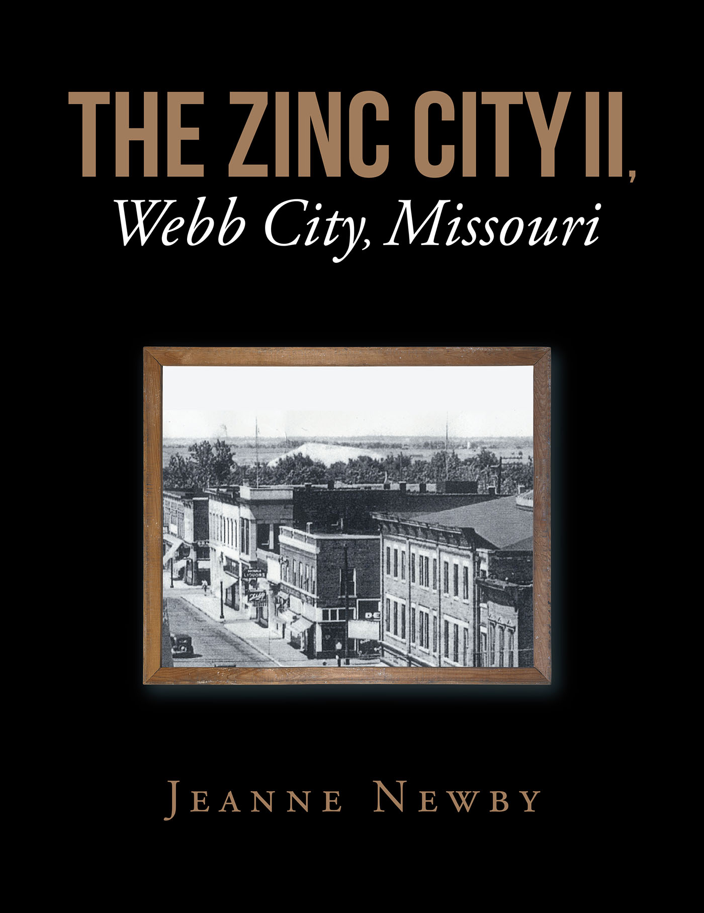 THE ZINC CITY II, Webb City, Missouri Cover Image