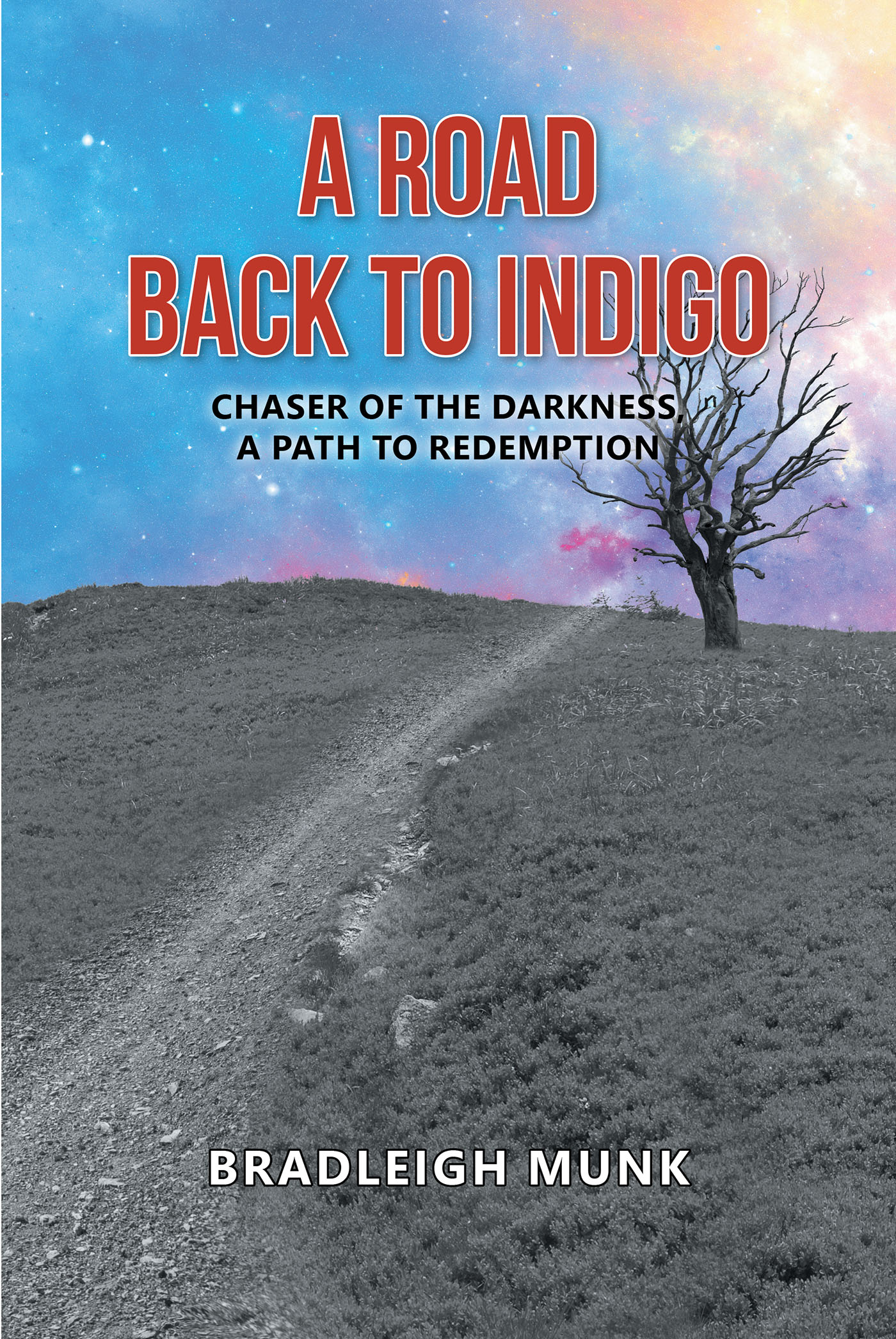 A Road Back to Indigo Cover Image