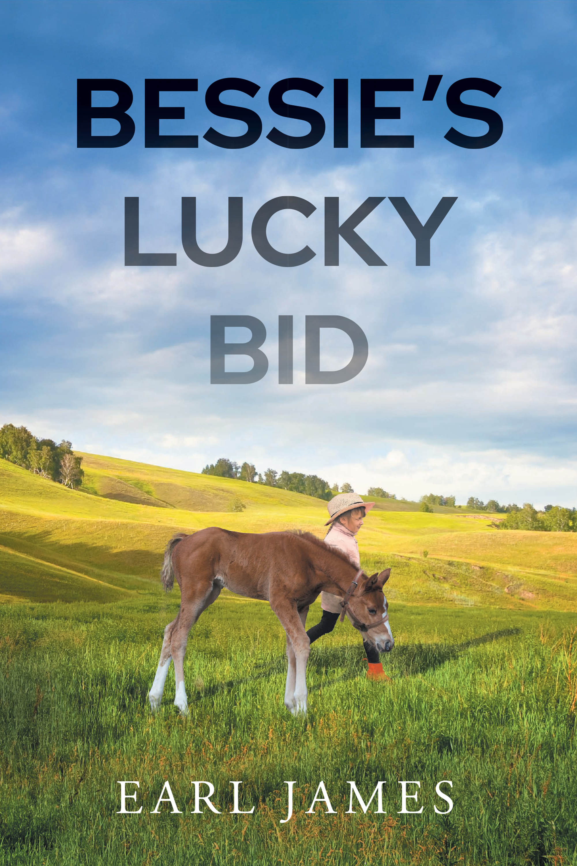 Bessie's Lucky Bid Cover Image