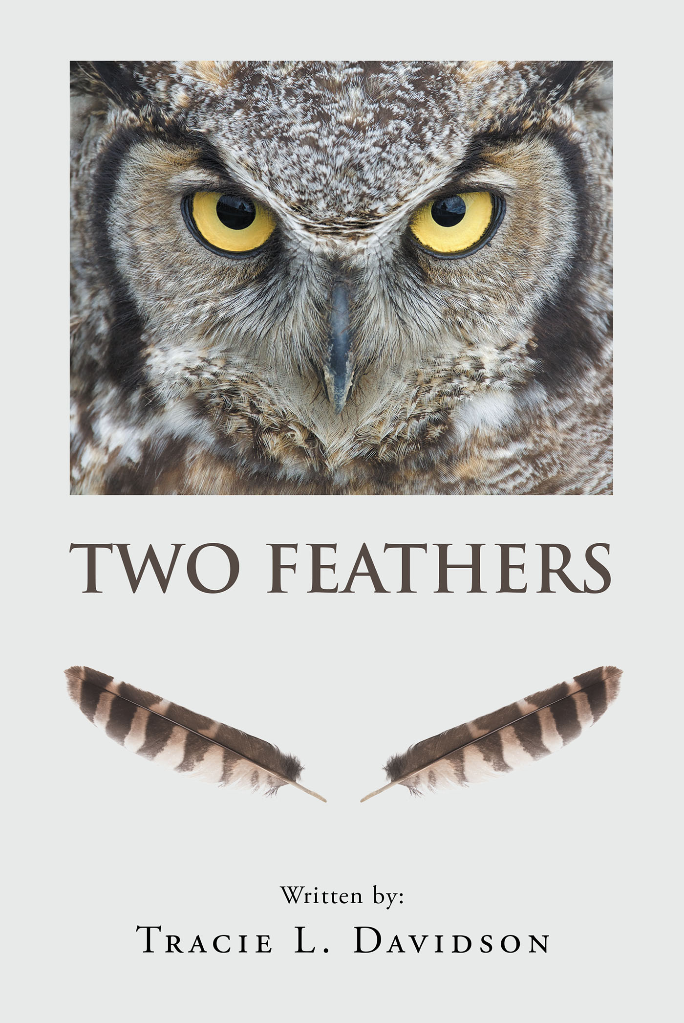 Two Feathers Cover Image