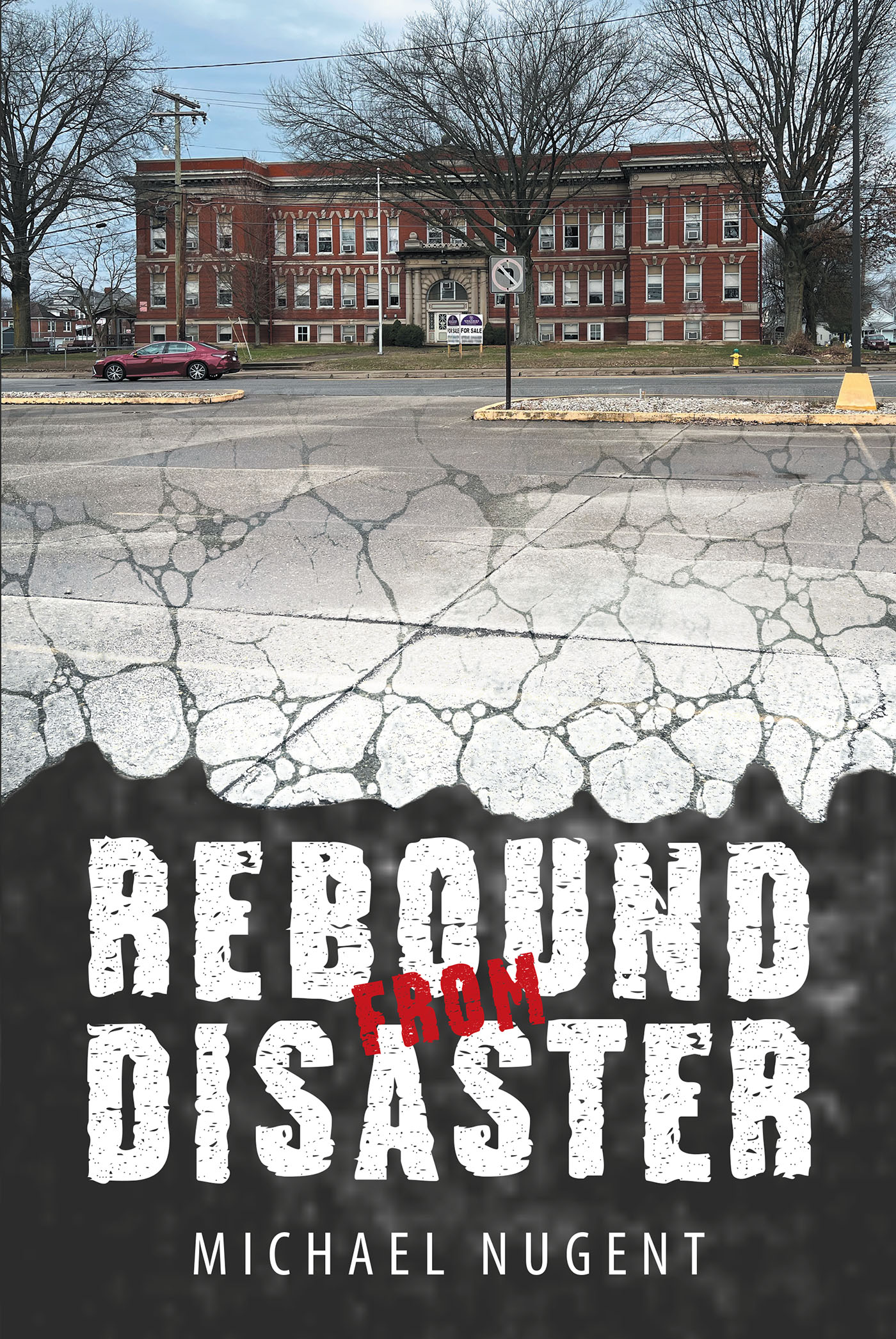 Rebound from Disaster Cover Image