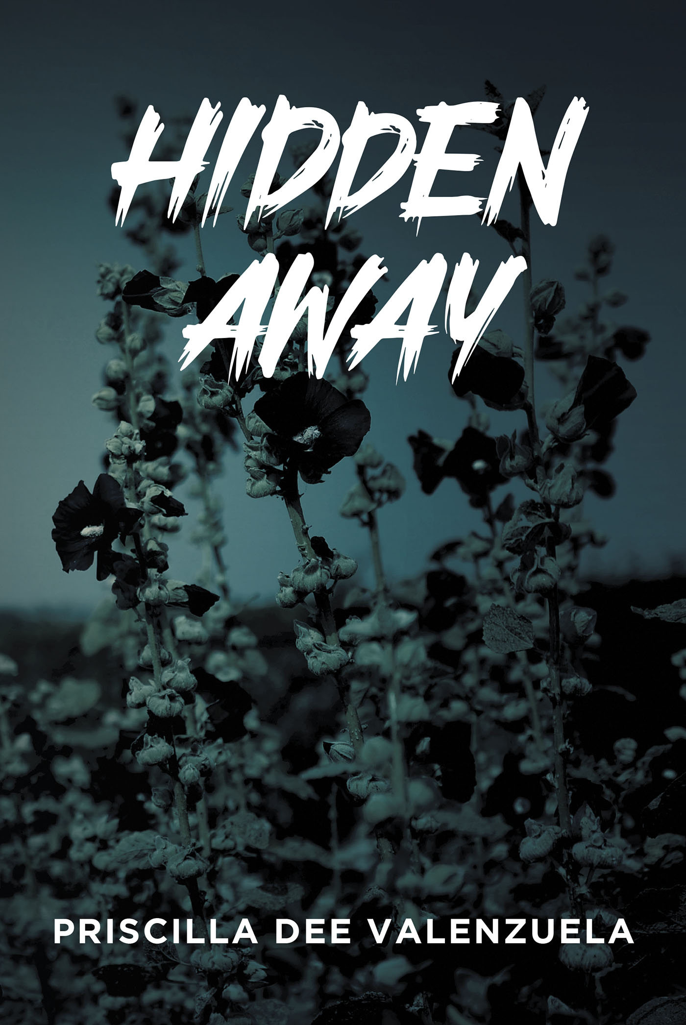 Hidden Away Cover Image