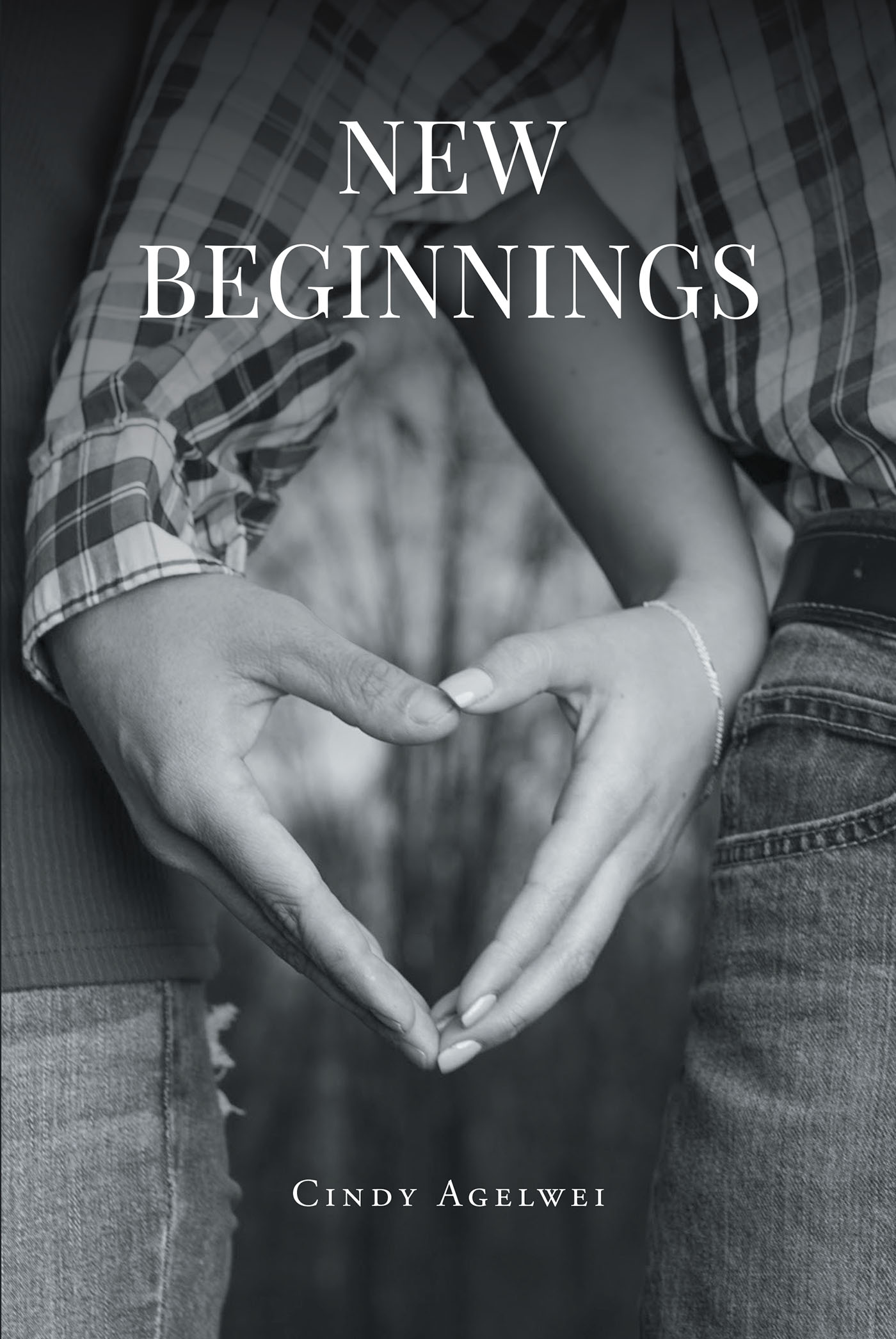 New Beginnings Cover Image