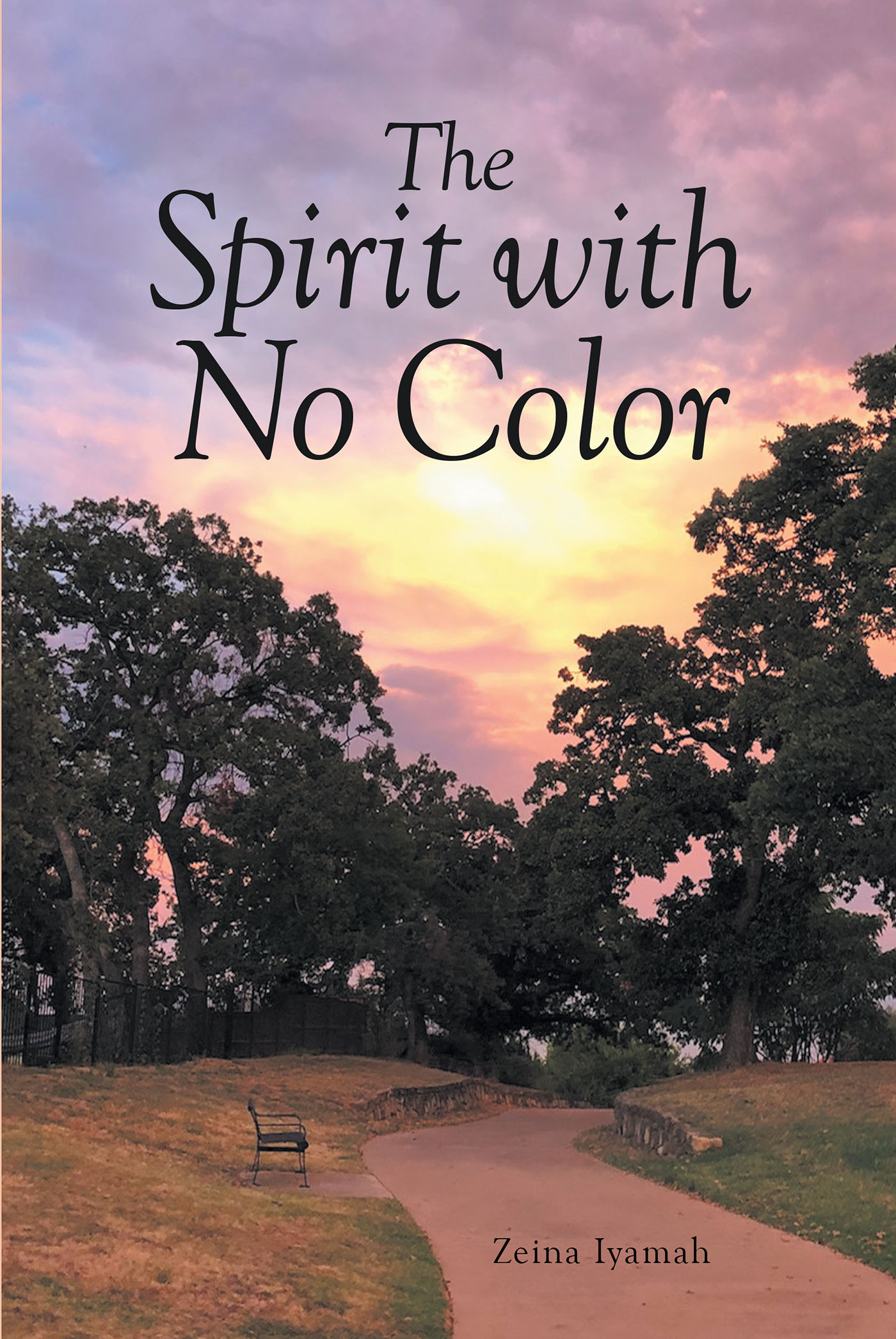 The Spirit with No Color Cover Image