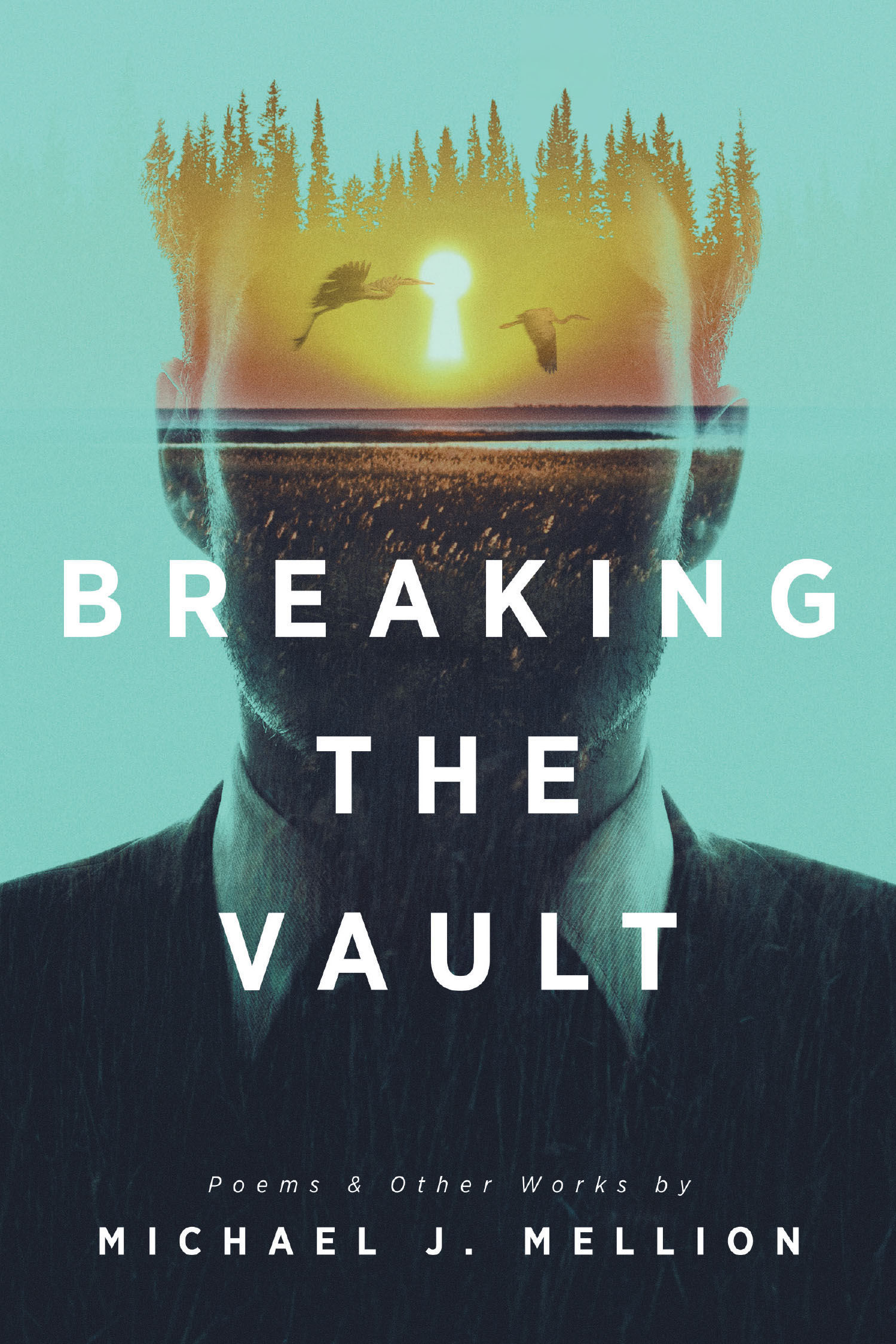 Breaking the Vault Cover Image