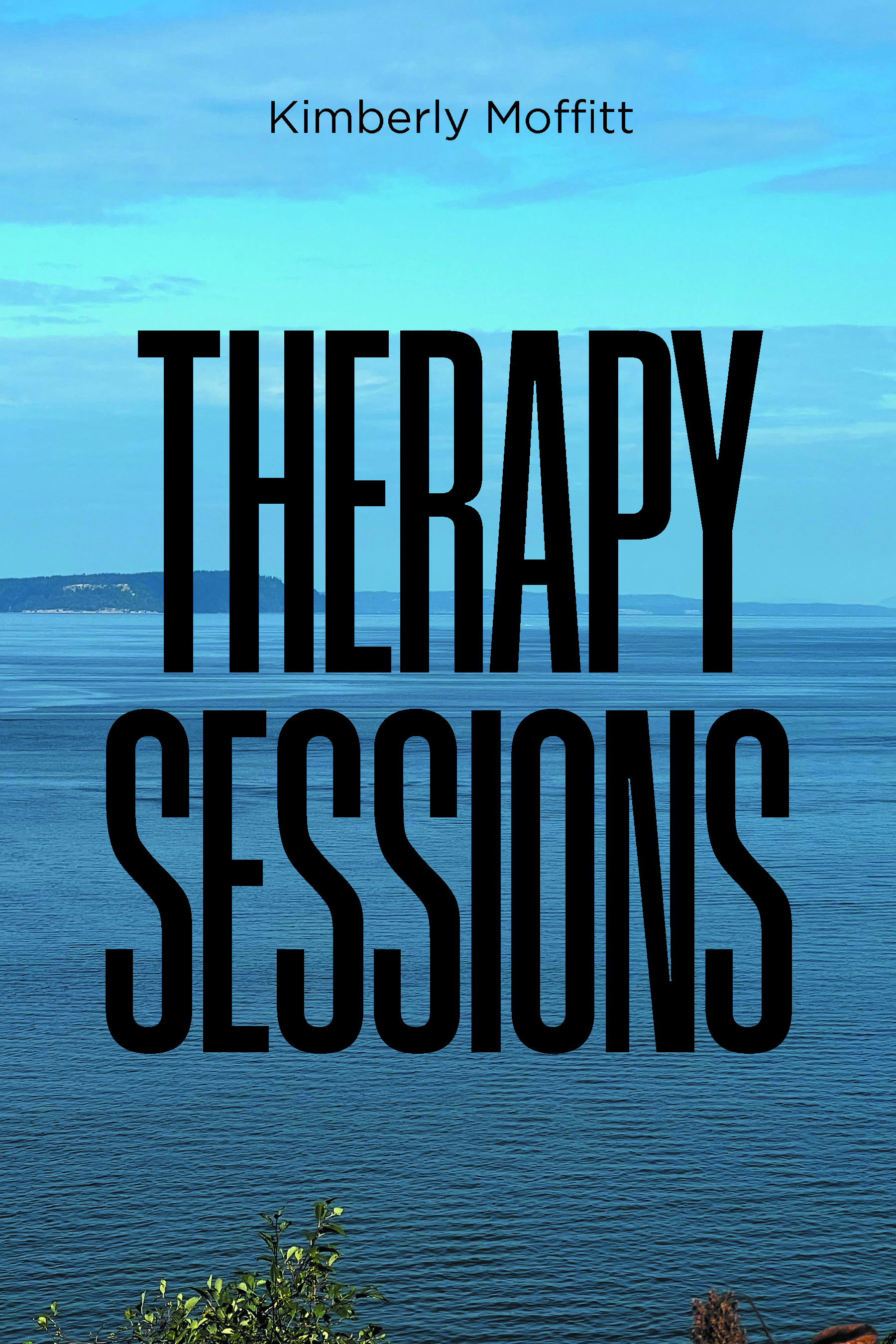 Therapy Sessions Cover Image