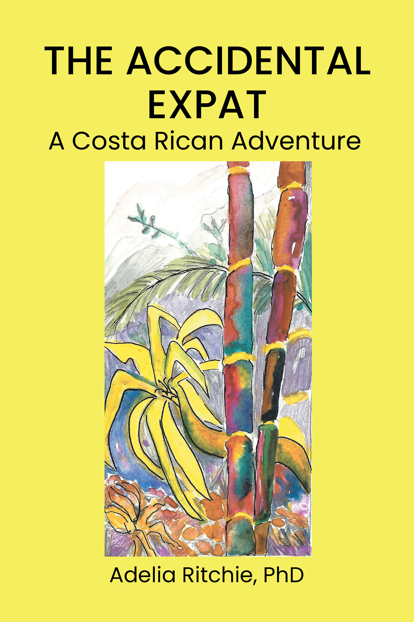 The Accidental Expat Cover Image