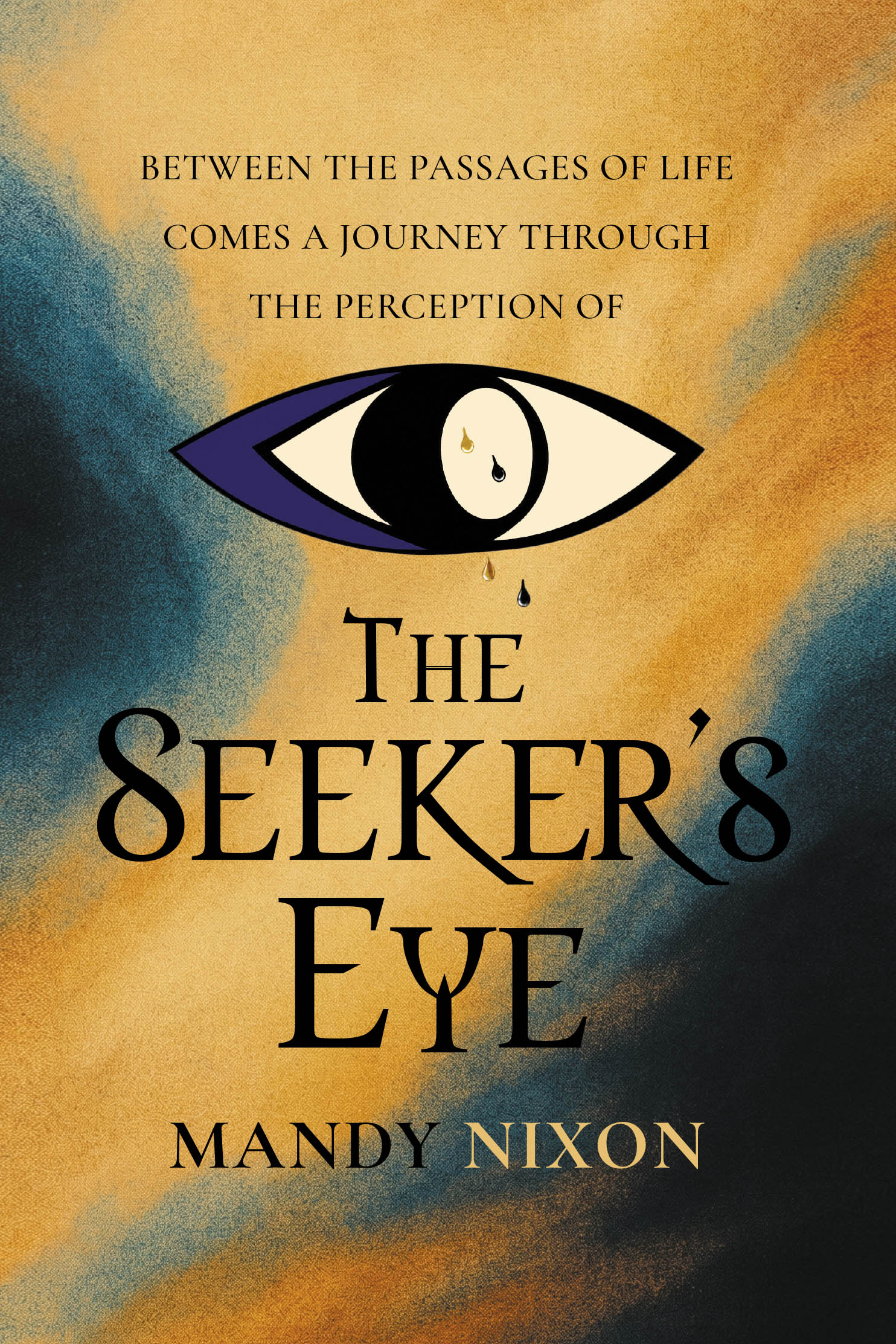The Seeker's Eye Cover Image