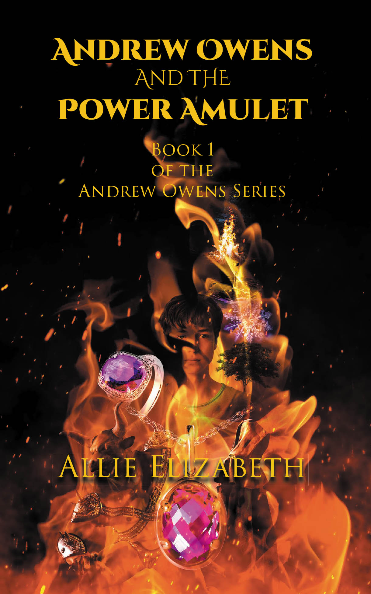 Andrew Owens And The Power Amulet Cover Image