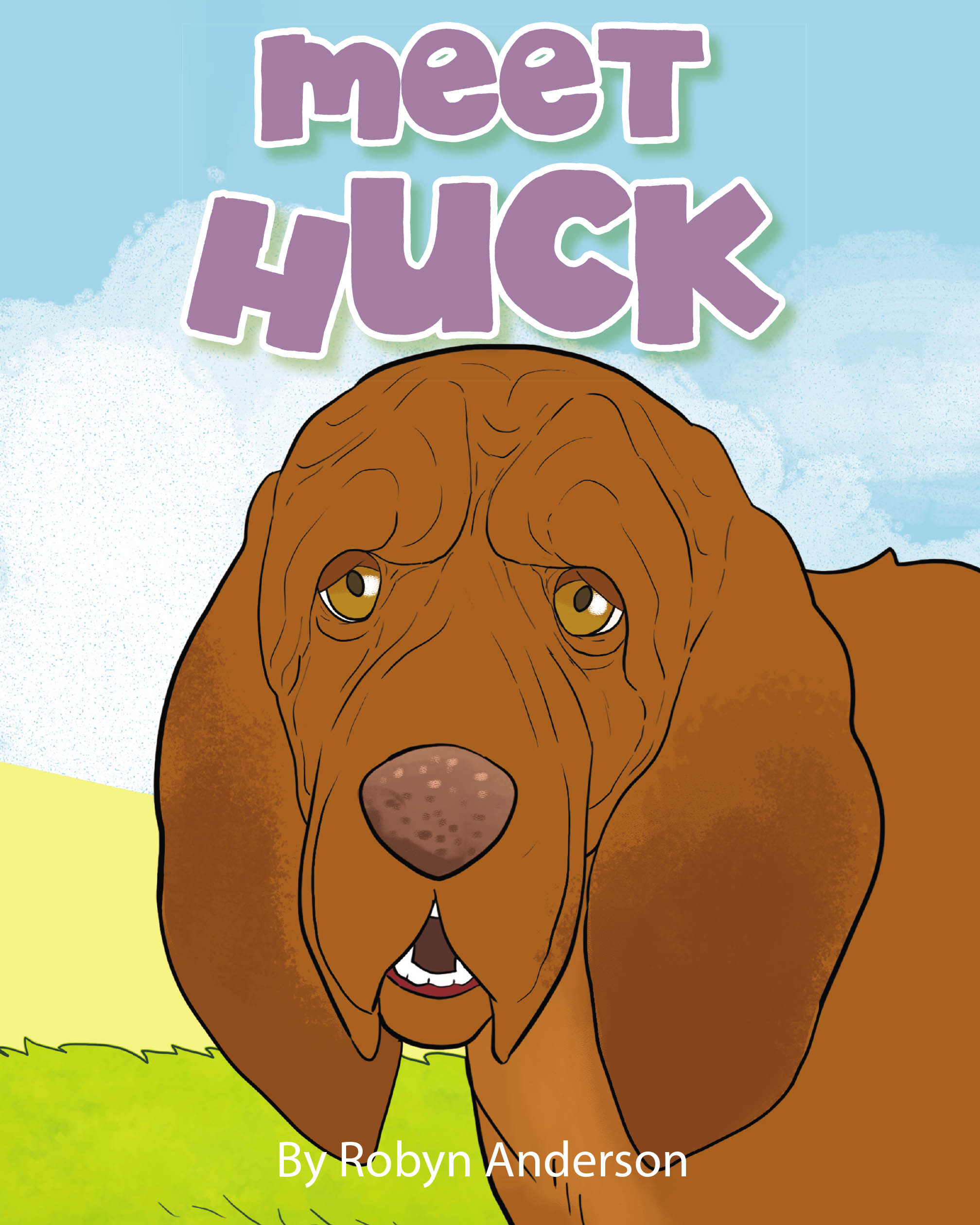Meet Huck Cover Image