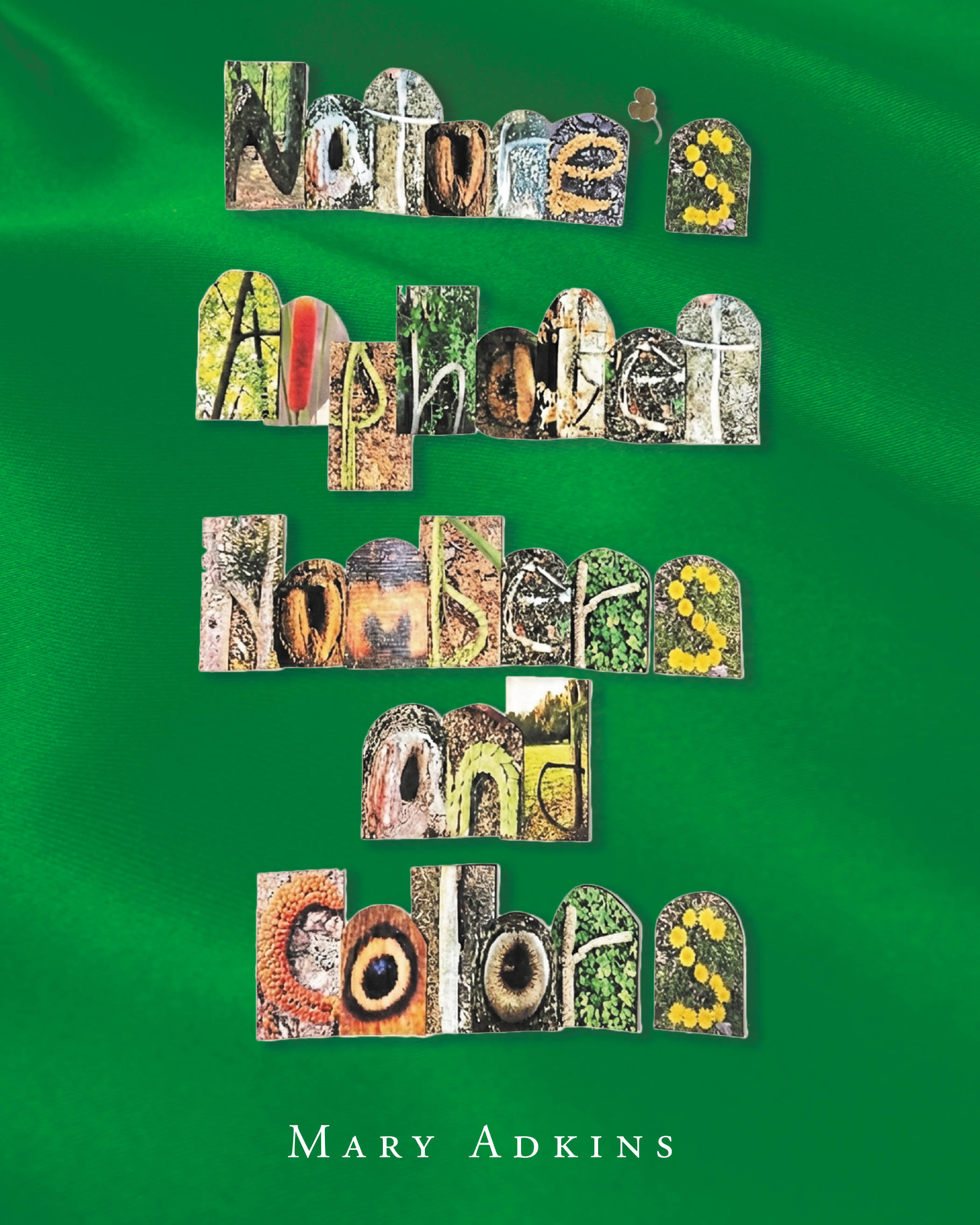 Nature's Alphabet, Numbers, and Colors Cover Image