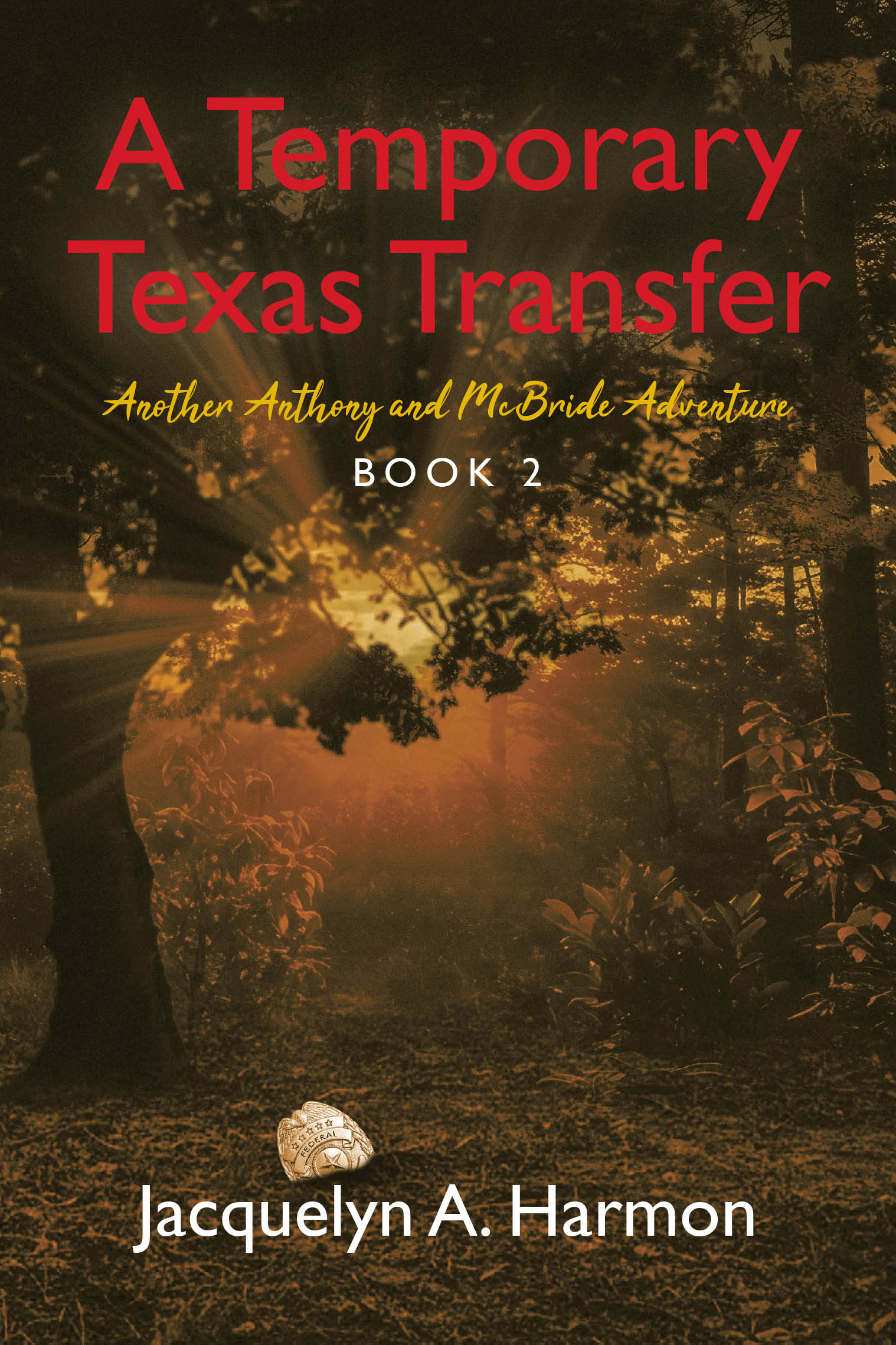 A Temporary Texas Transfer Cover Image