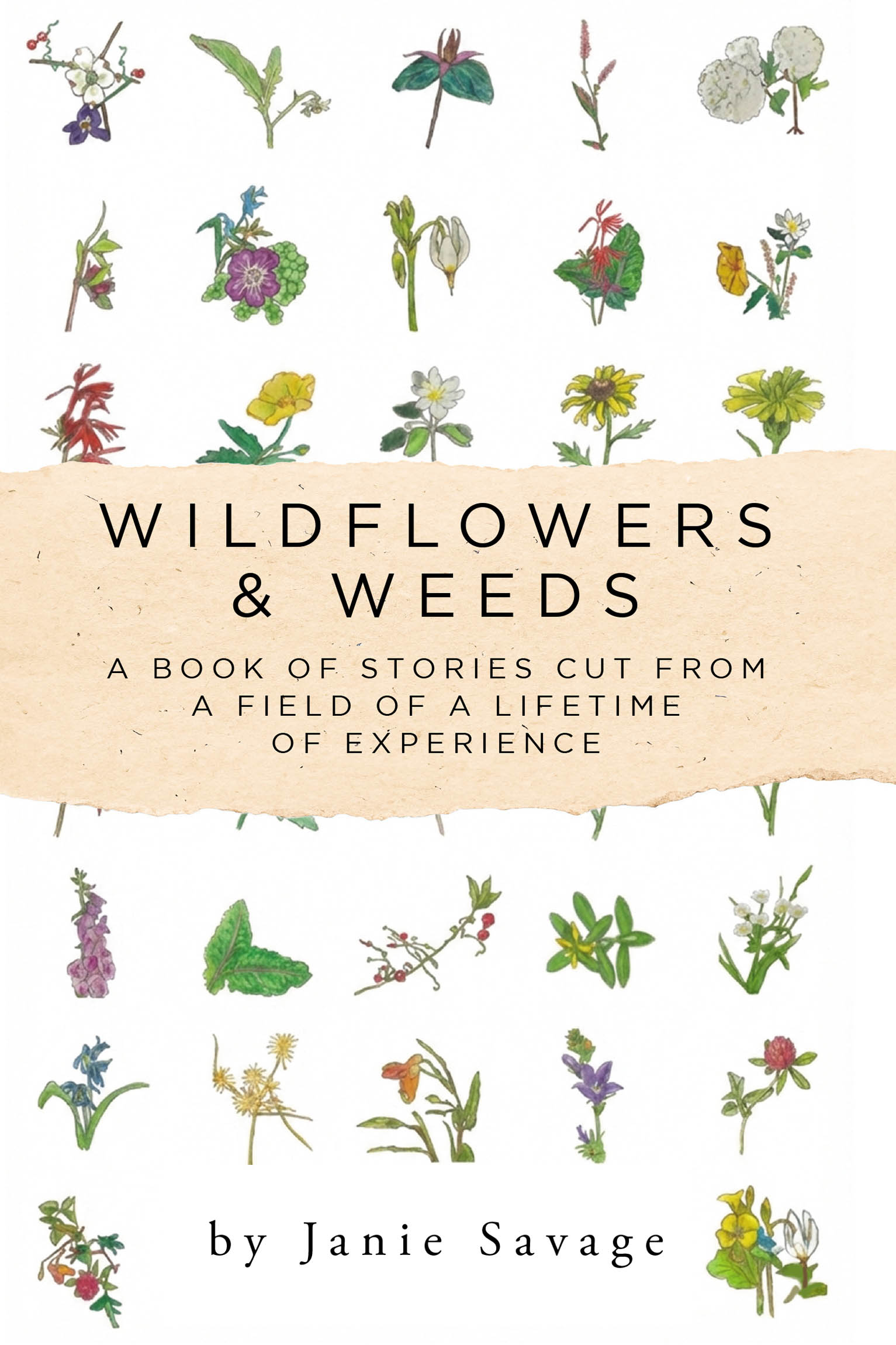 Wildflowers & Weeds Cover Image